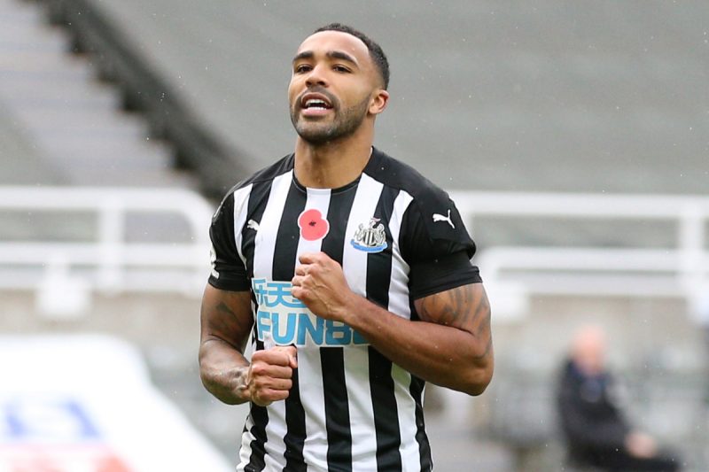 Callum Wilson Newcastle United.