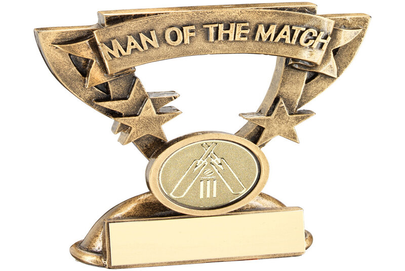 Giải thưởng man of the match