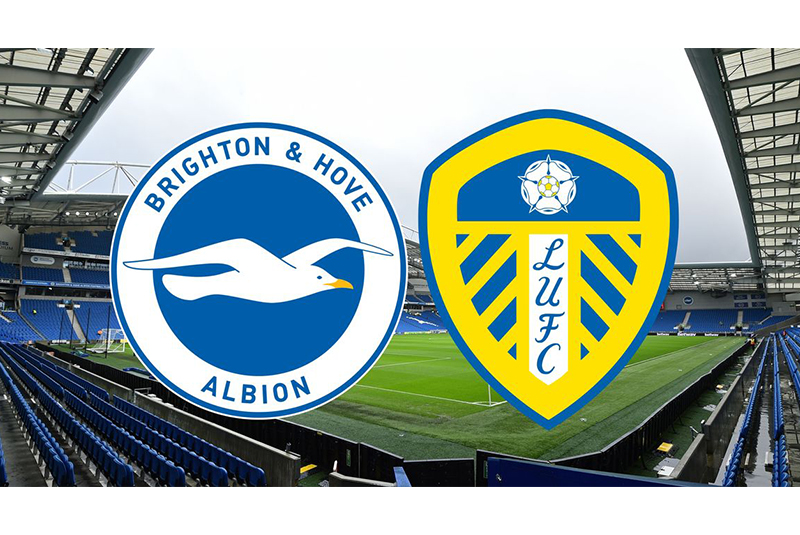Link xem trực tiếp trận Brighton vs Leeds United, 00h30 ngày 28/11