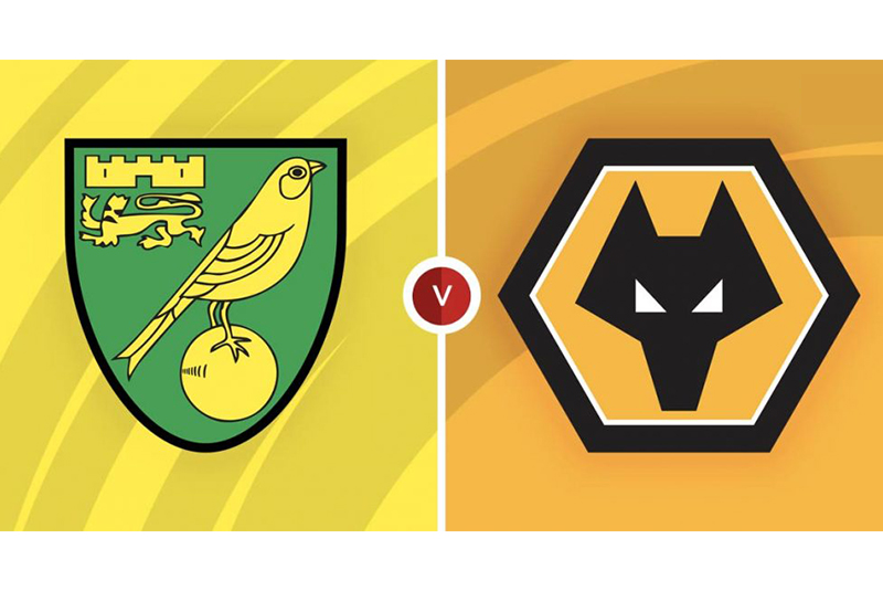 Link xem trực tiếp Norwich City vs Wolves, 22h ngày 27/11