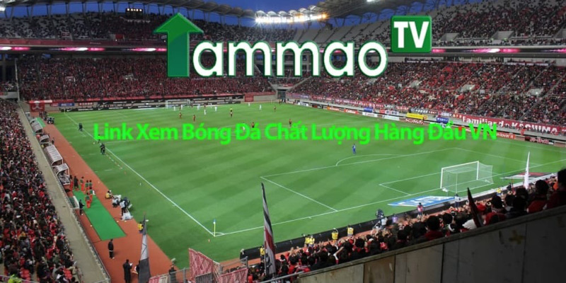 Tam Mao TV - Tammao xem bóng đá Trực tuyến Hôm Nay