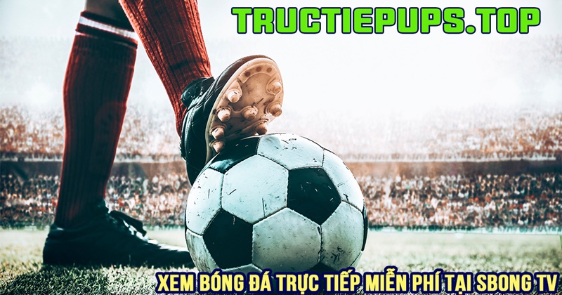 Tructiepups.top là website trực tiếp bóng đá chất lượng