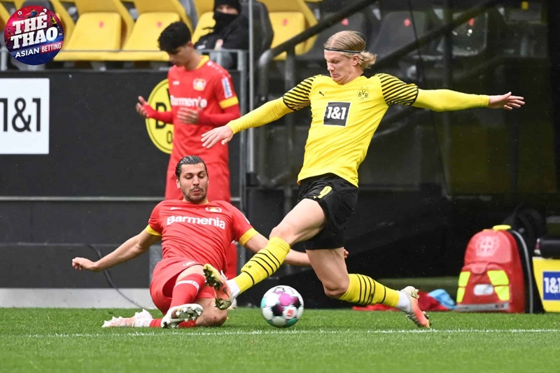 Dortmund vs Bayer Leverkusen là cặp đấu đáng chờ đợi của vòng 21 Bundesliga