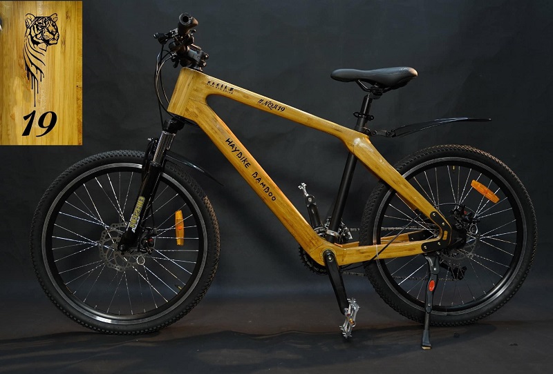 xe đạp của Quang Hải