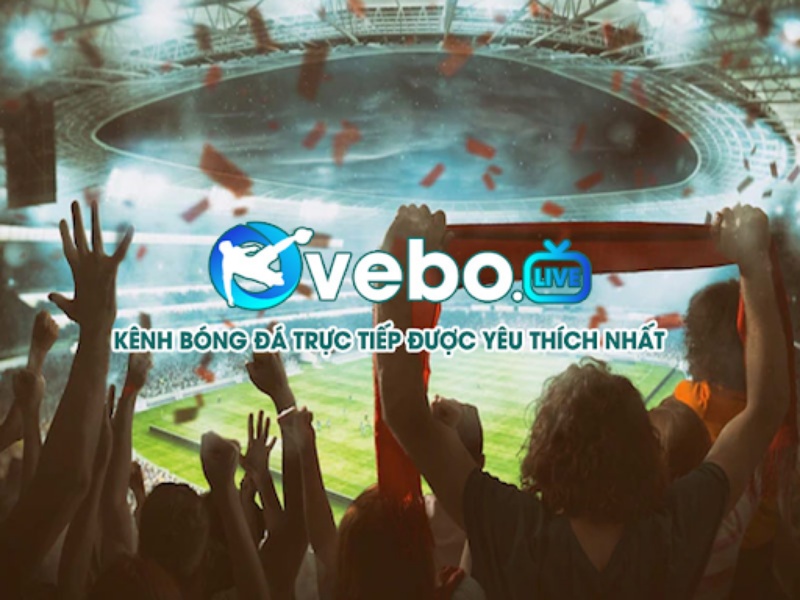 Giới thiệu về Vebo1.net
