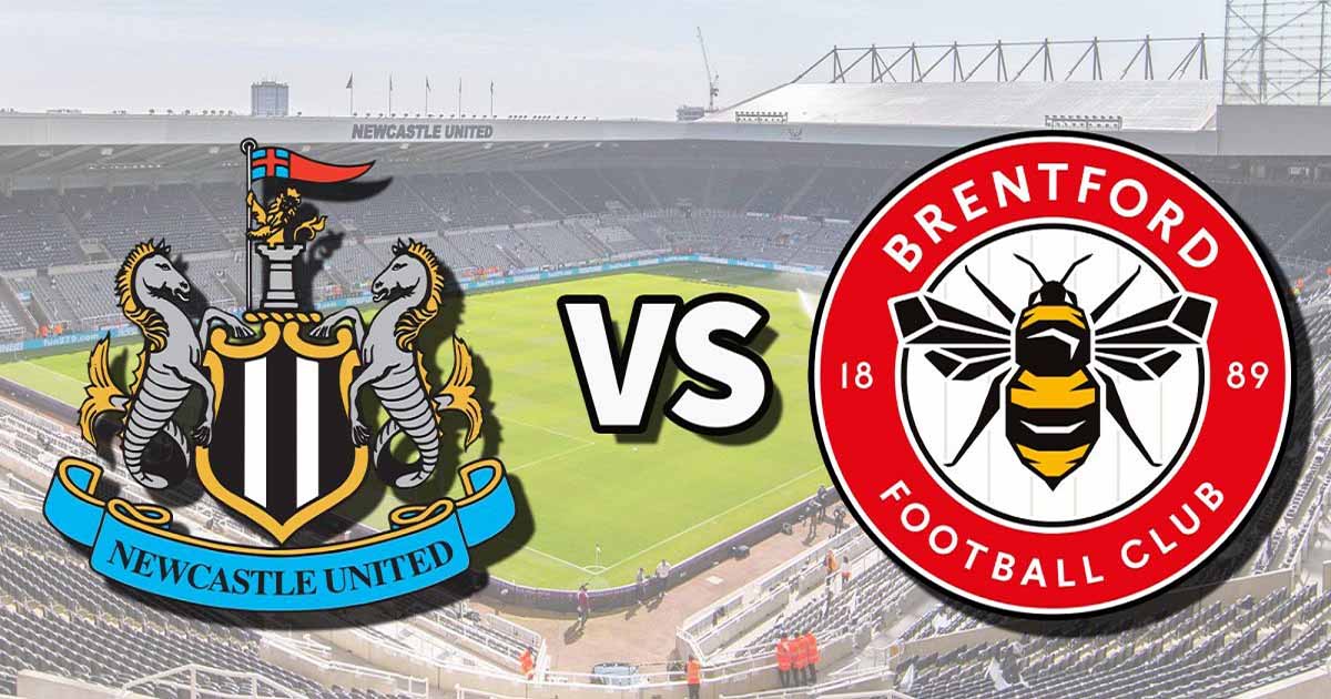 Thống kê, lịch sử đối đầu Newcastle United vs Brentford (21h ngày 8/10)