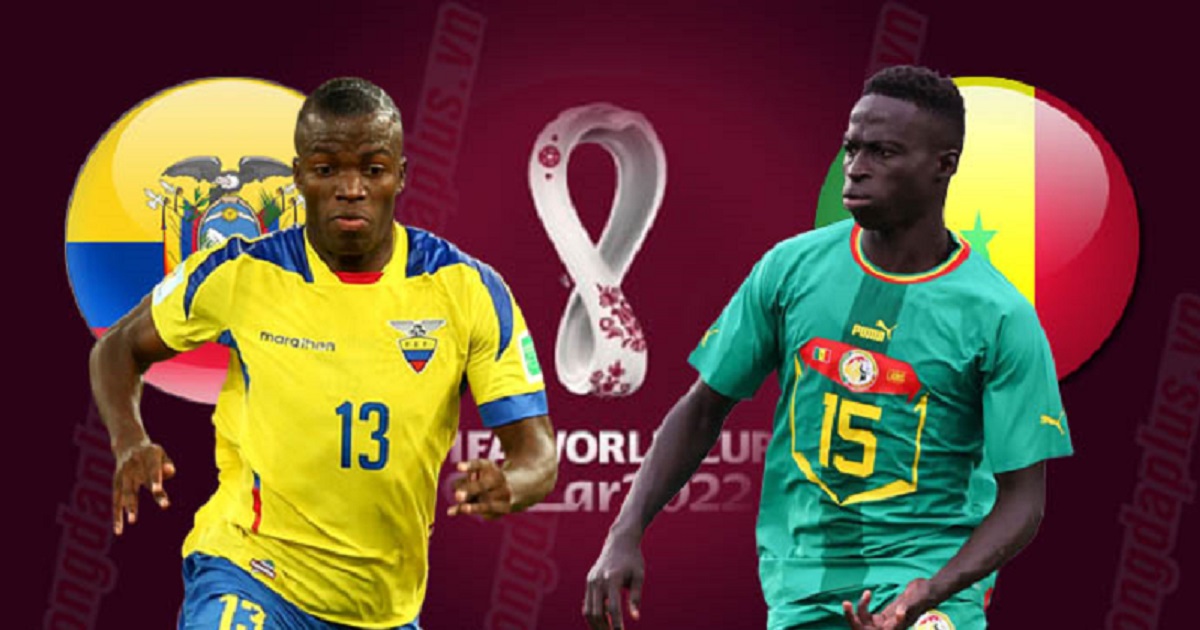 Thống kê, lịch sử đối đầu Ecuador vs Senegal 22h ngày 29/11