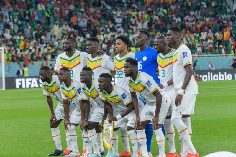 Link trực tiếp Qatar vs Senegal 20h ngày 25/11 | Hình 3 Link trực tiếp Qatar vs Senegal 20h ngày 25/11
