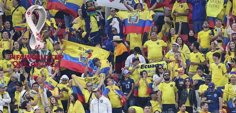 CĐV Ecuador châm chọc người hâm mộ Qatar