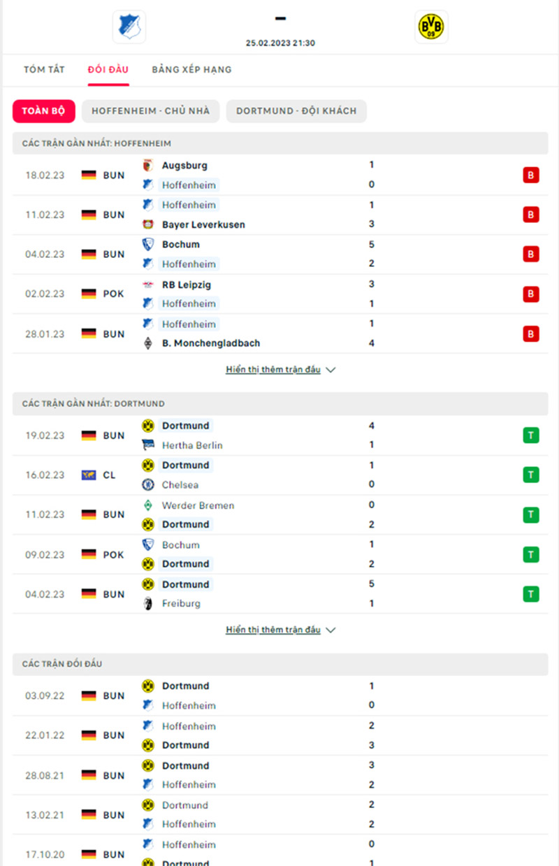Thống kê, lịch sử đối đầu Hoffenheim vs Borussia Dortmund