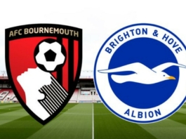 Link xem bóng đá Brighton - AFC Bournemouth 22h00 ngày 04/02 | Thể thao số