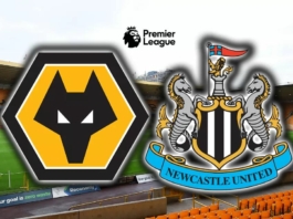 Nơi xem bóng đá Newcastle United vs Wolverhampton 12/3 23h30