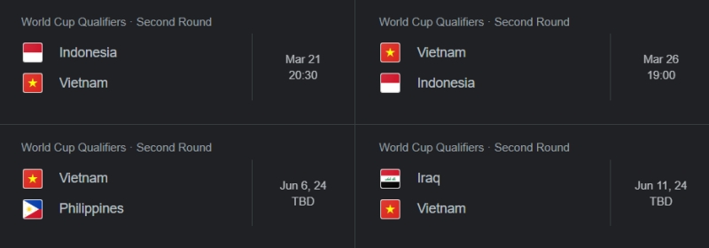 Lịch thi đấu đội tuyển Việt Nam 2024: Các trận vòng loại 2 World Cup 2026