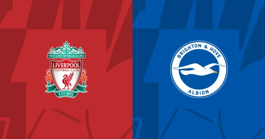 Link xem trực tiếp Liverpool vs Brighton 20h ngày 31/3, vòng 30 Premier League 2023/24
